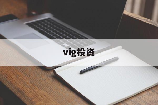 vig投资(vigo是哪个国家港口)